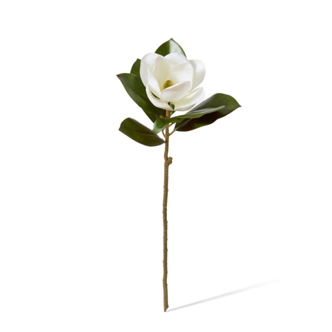 Magnolia Grand Flower Stem Pack Of 12 - White, 66cm (H)
