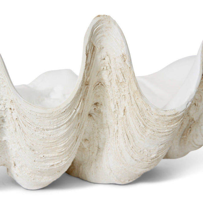 Clam Shell Large Sculpture - Off White, 19cm (H)