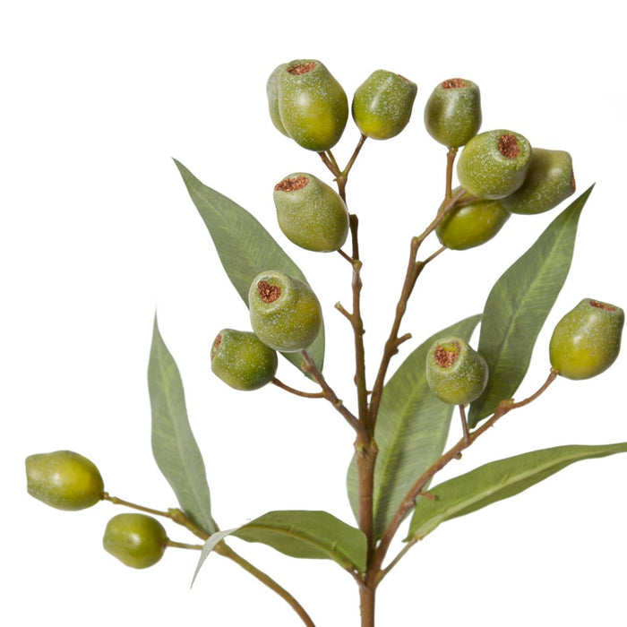 Eucalyptus Gum Nut Spray Pack of 12 - Green, 67cm (H)