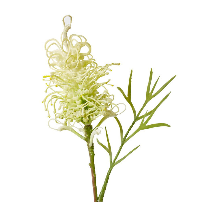 Grevillia Flower Lg Stem Pack of 12 - White, 64cm (H)