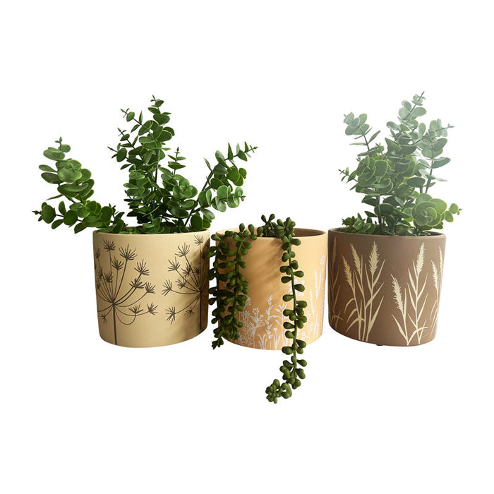 Set/3 Asst Palm/Stripe Planters w/Hole+Plug