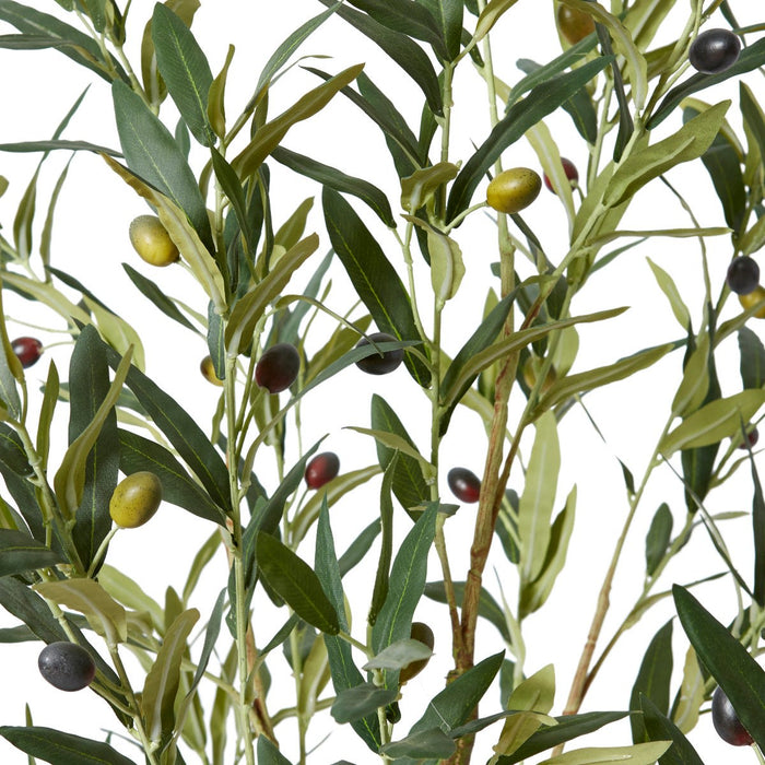 Olive Tree - Grey Green, 122cm (H)