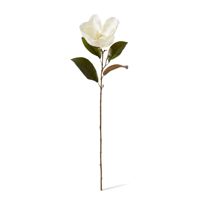 Magnolia Flower Stem Pack of 12 - White, 74cm (H)