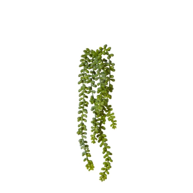 String of Pearls Pack Of 12 - Green, 42cm (H)