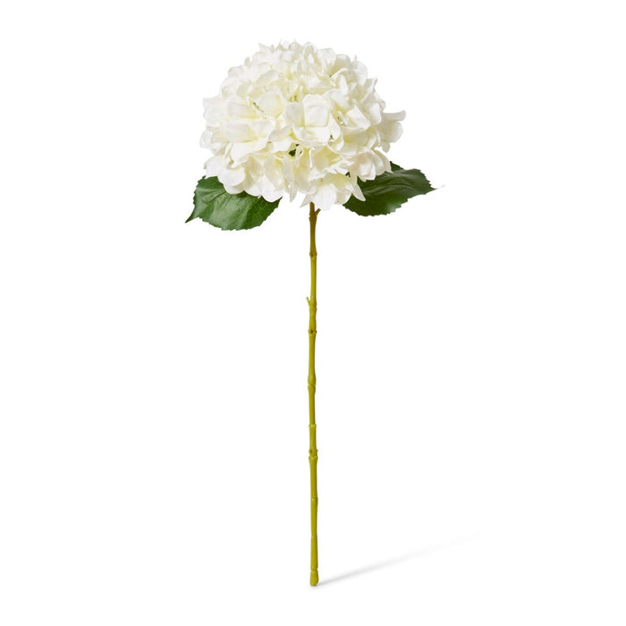 Hydrangea Classic Large Stem Pack of 12 - White, 65cm (H)