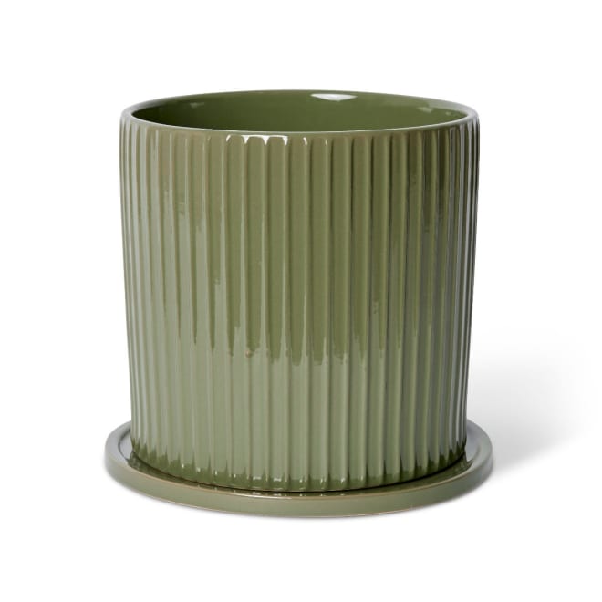 Quinn Pot w Saucer - Green, 24cm (H)