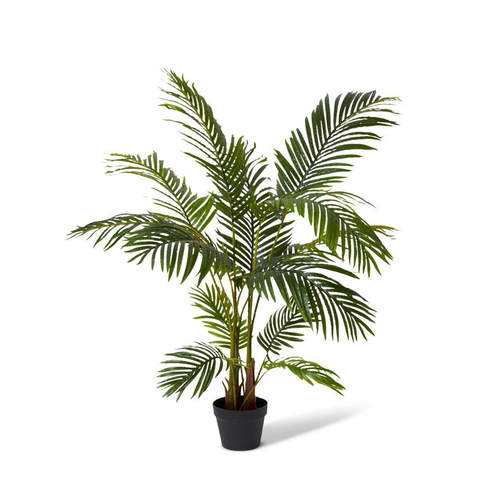 Palm Areca - Green, 120cm (H)