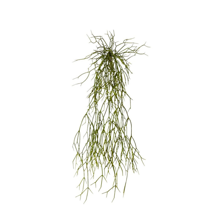 Cactus Pencil Plant Pack of 12 - Green, 53cm (H)