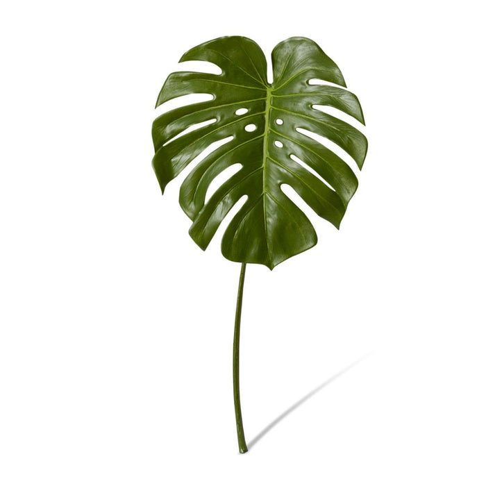 Monstera Leaf Pack of 12 - Green, 60cm (H)