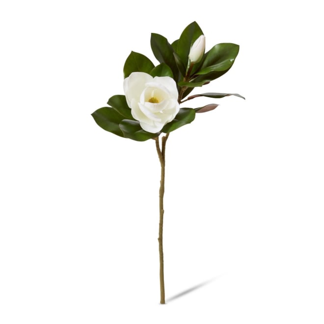 Magnolia Grand Flower With Bud & Leaves Pack Of 12 - White, 76cm (H)