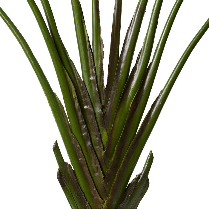 Palm Travellers - Green, 220cm (H)