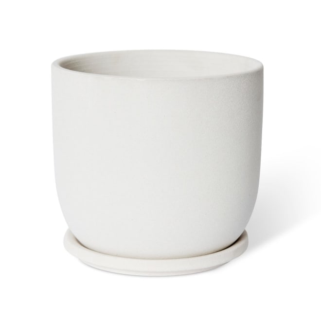 Allegra Pot w Saucer - White, 18cm (H)