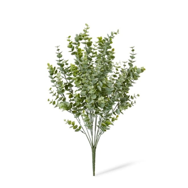 Eucalyptus Bush Pack Of 12 - Grey Green, 50cm (H)