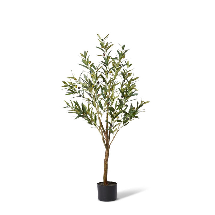 Olive Tree - Grey Green, 122cm (H)