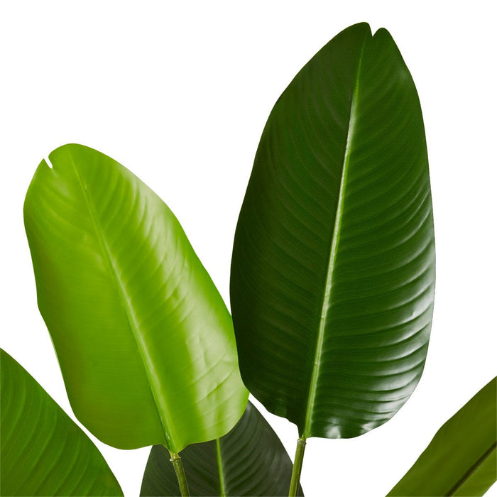 Bird of Paradise Grand - Green, 122cm (H)