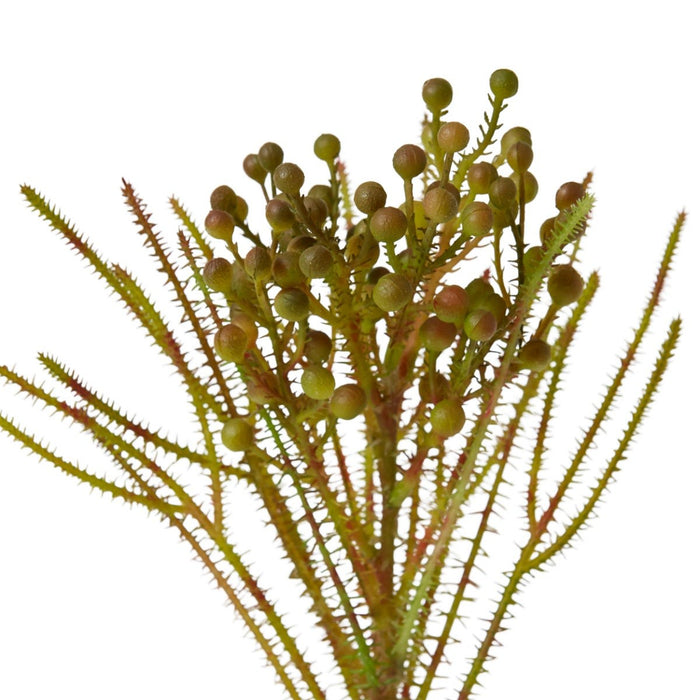 Berzelia Spray Pack of 12 - Green Red, 46cm (H)