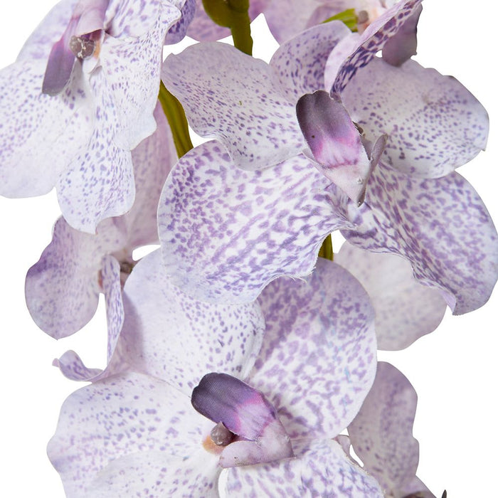 Vanda Orchid Pack of 12 - Lilac, 80cm (H)