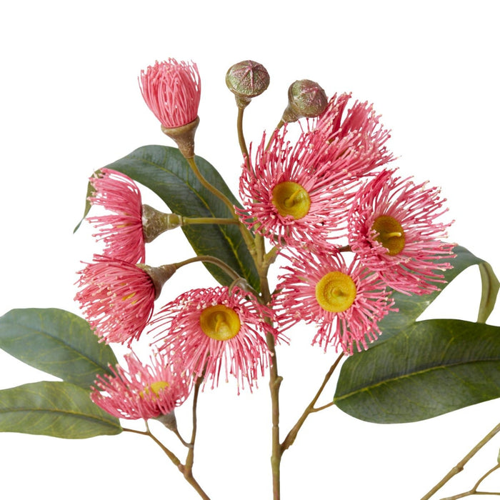 Eucalyptus Flowering Spray Pack of 12 - Soft Pink, 76cm (H)