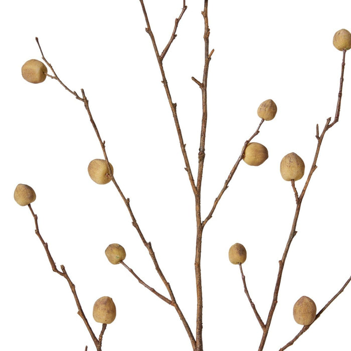 Berry Pod Dried Look Branch Pack of 12 - Natural, 108cm (H)
