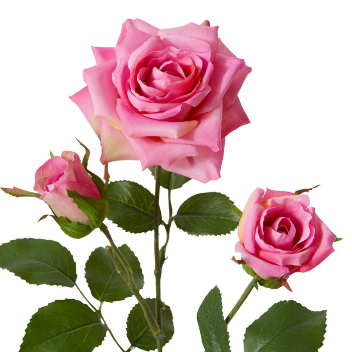 Rose Classic Spray Pack Of 12 - Pink, 56cm (H)