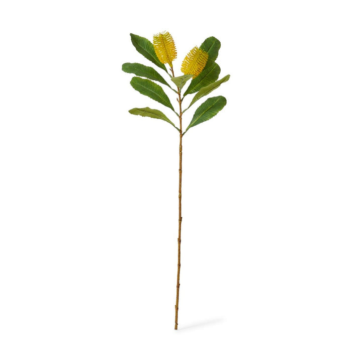 Banksia Spray Pack of 12 - Yellow, 76cm (H)