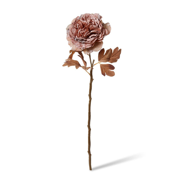 Peony Decor Stem Pack of 12 - Dusty Mauve, 69cm (H)