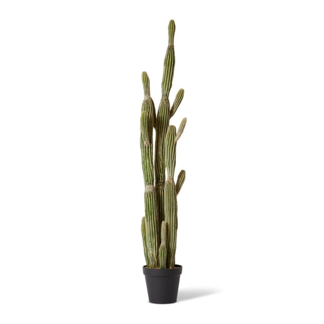Cactus Saguaro Potted - Green, 152cm (H)