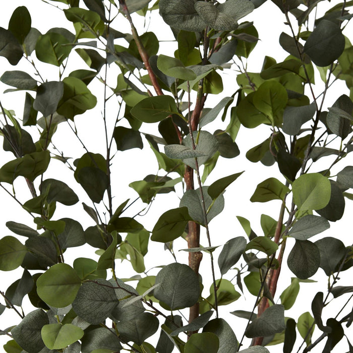 Eucalyptus Tree - Green, 180cm (H)