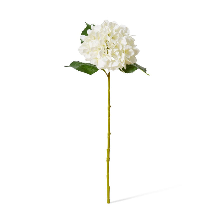 Hydrangea Classic Small Stem Pack of 12 - White, 61cm (H)