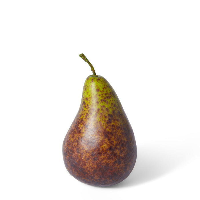 Pear Bartlet Pack of 12 - Brown, 13cm (H)