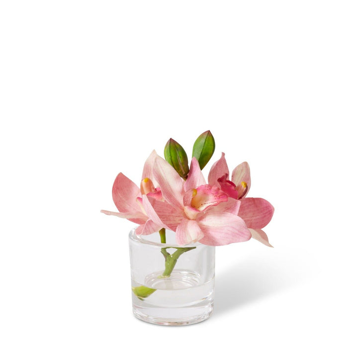 Cymbidium Orchid in Vase - Pink, 15cm (H)