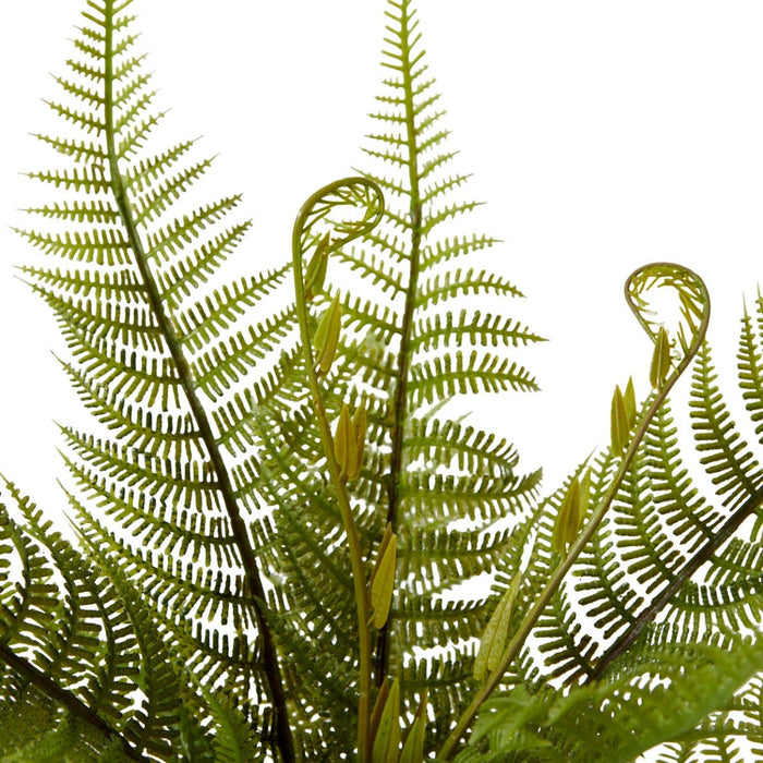 Fern Bracken Pack Of 12 - Green, 35cm (H)