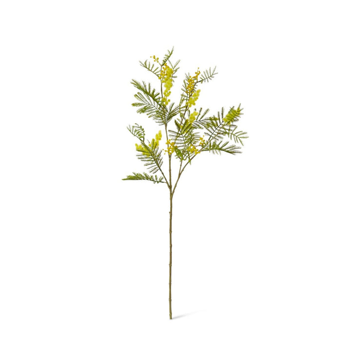 Wattle Spray Pack of 12 - Yellow, 79cm (H)