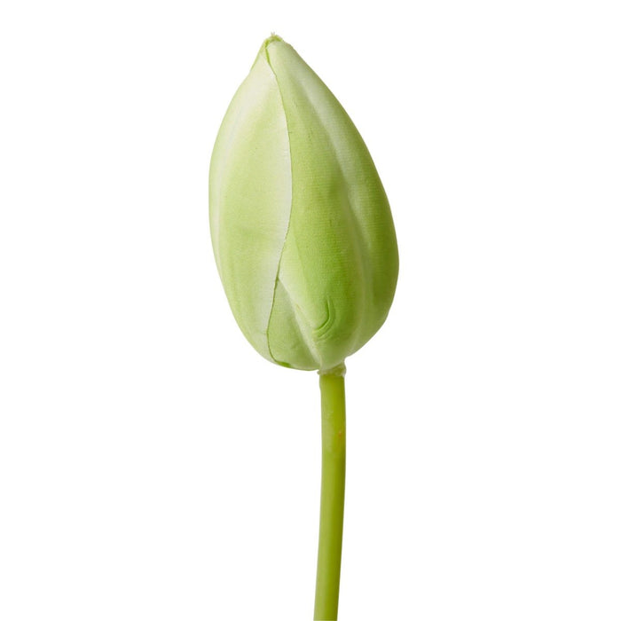 Tulip Stem Pack of 12 - Green, 74cm (H)