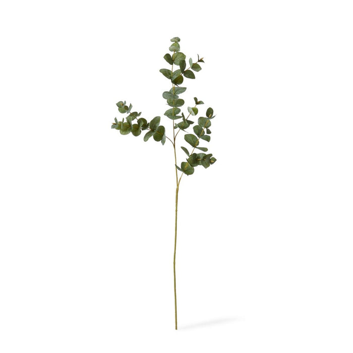 Eucalyptus Spray Pack of 24 - Grey Green, 97cm (H)