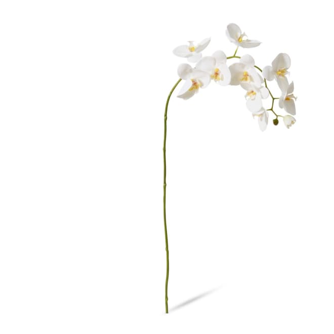 Phalaenopsis Lush Stem Pack Of 8 - White, 97cm (H)