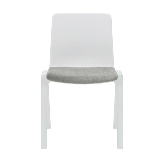 ACAD-WSP WH/LGR