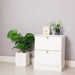 White [Brand] cabinet with plants and decorative frame, minimalist setting.