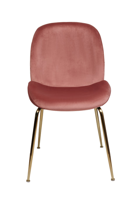 Asta Dining Chair Blush Velvet And Gold Frame (Set of 2)