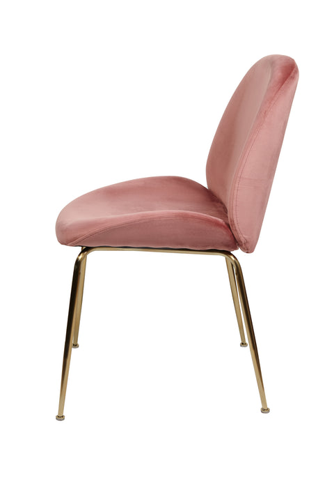 Asta Dining Chair Blush Velvet And Gold Frame (Set of 2)