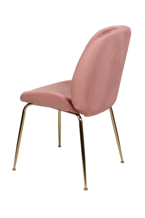 Asta Dining Chair Blush Velvet And Gold Frame (Set of 2)