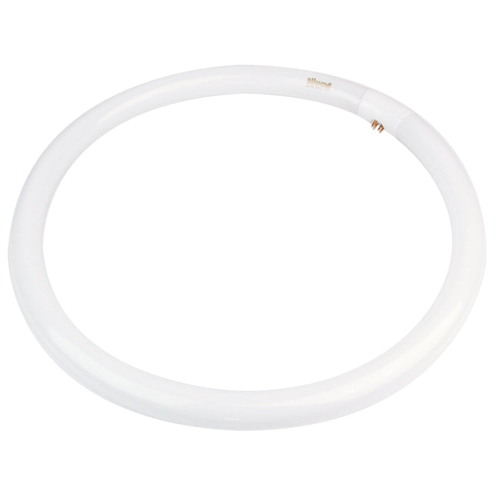 40W T9 Circular Fluro 4000K