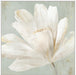 Awaken Within II Wall Art