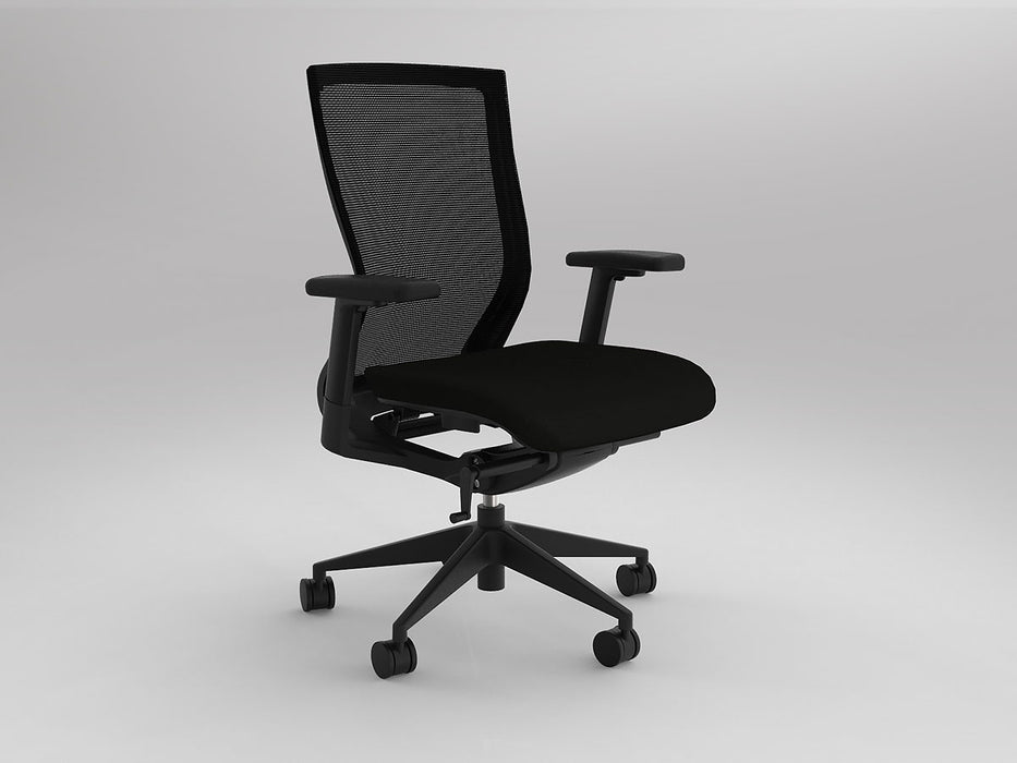 OLG Balance Project Chair w/ Adjustable Arms