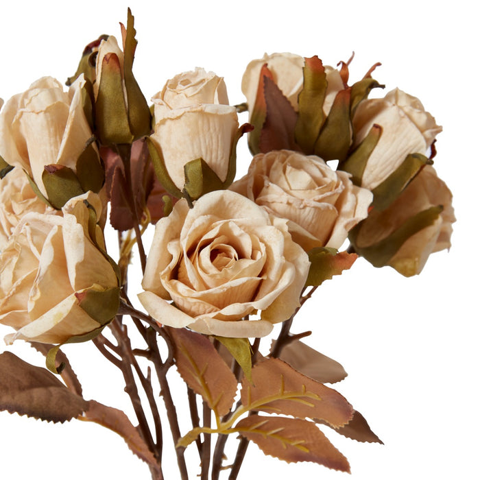 Rose Decor Bundle Pack Of 12 - Antique Cream, 43cm (H)