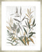 Botanical Blue Leaves II Wall Art
