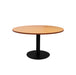 CCT9 B/BL