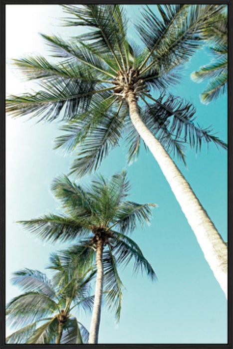 Cape Coral Wall Art