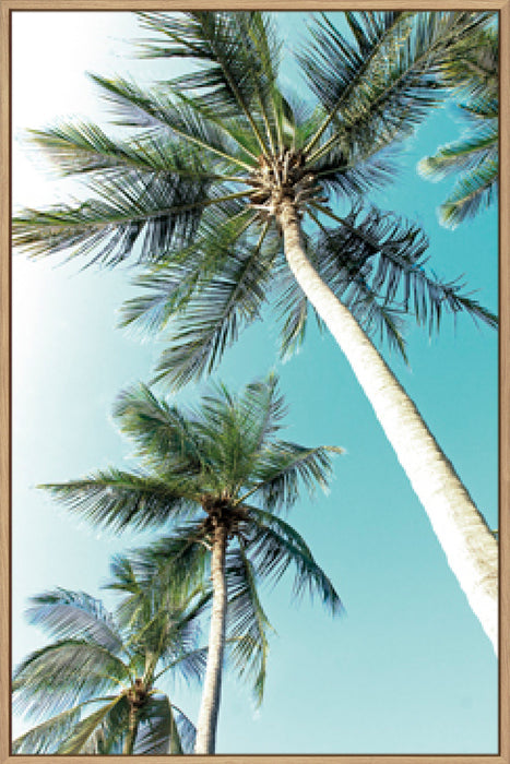 Cape Coral Wall Art
