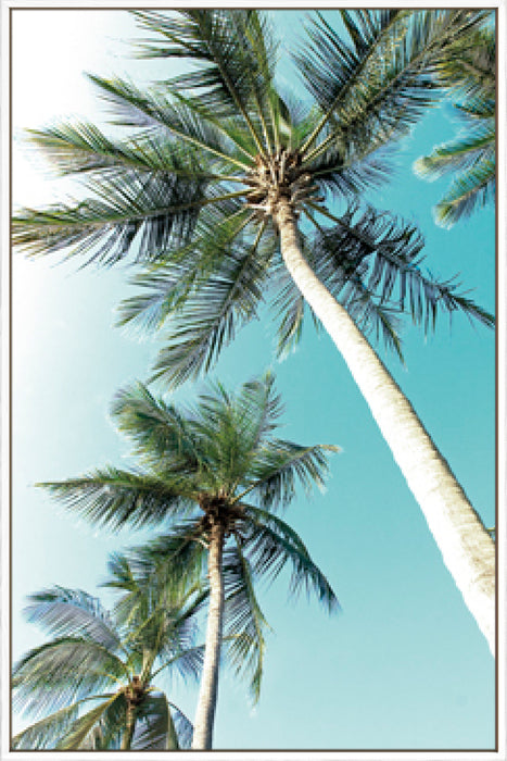 Cape Coral Wall Art